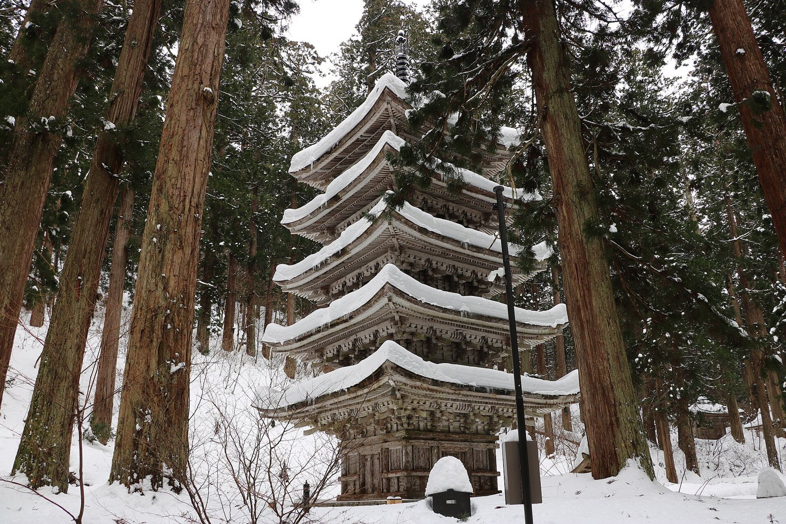 杉木立の中に立つ雪化粧の国宝・羽黒山五重塔(鶴岡)